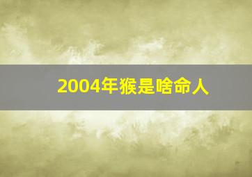 2004年猴是啥命人