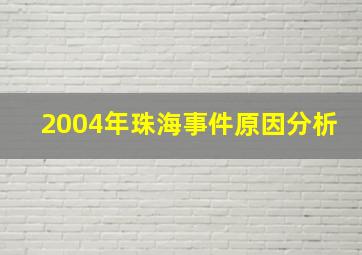 2004年珠海事件原因分析