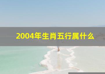 2004年生肖五行属什么