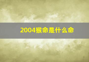 2004猴命是什么命