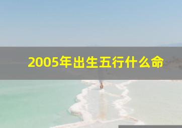 2005年出生五行什么命