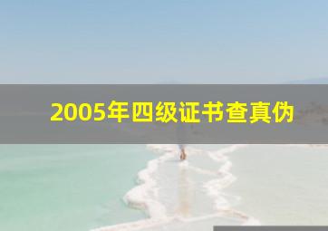 2005年四级证书查真伪