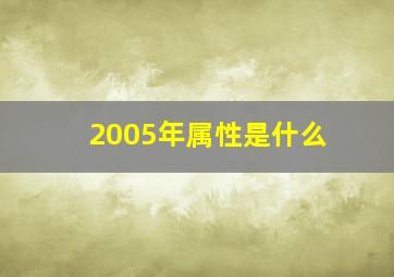 2005年属性是什么