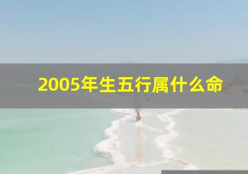 2005年生五行属什么命