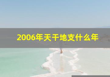 2006年天干地支什么年