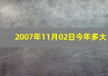 2007年11月02日今年多大