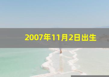 2007年11月2日出生