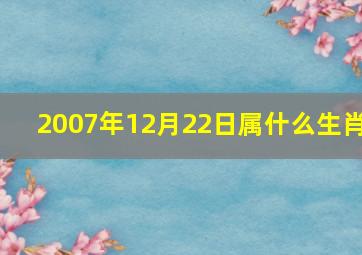 2007年12月22日属什么生肖