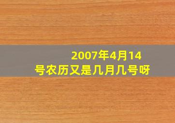 2007年4月14号农历又是几月几号呀