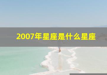 2007年星座是什么星座