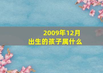 2009年12月出生的孩子属什么