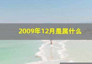 2009年12月是属什么