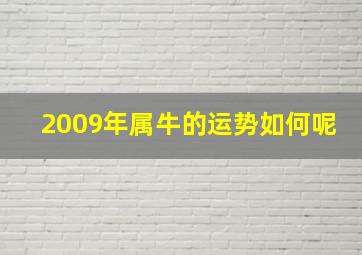 2009年属牛的运势如何呢