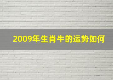 2009年生肖牛的运势如何