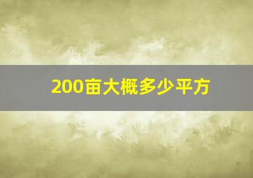 200亩大概多少平方