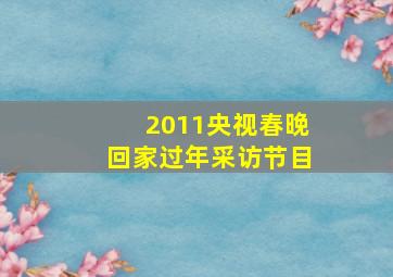 2011央视春晚回家过年采访节目