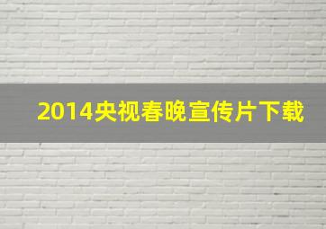 2014央视春晚宣传片下载