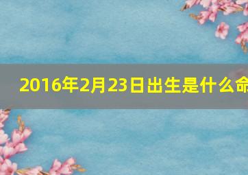 2016年2月23日出生是什么命