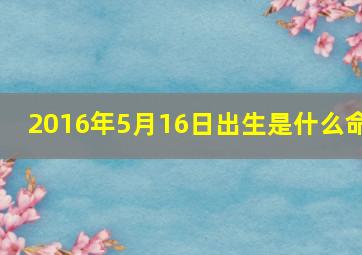 2016年5月16日出生是什么命