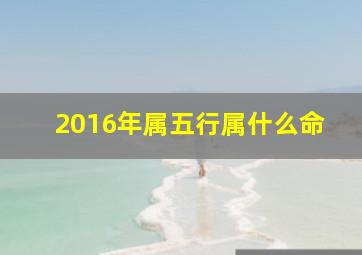 2016年属五行属什么命