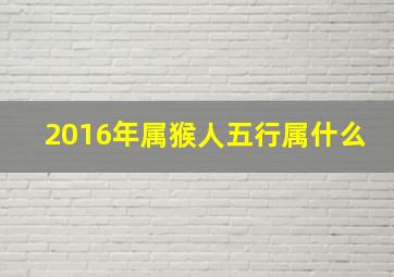 2016年属猴人五行属什么