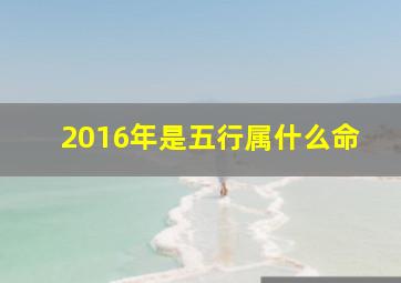 2016年是五行属什么命