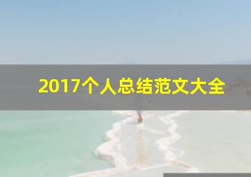 2017个人总结范文大全