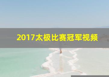 2017太极比赛冠军视频