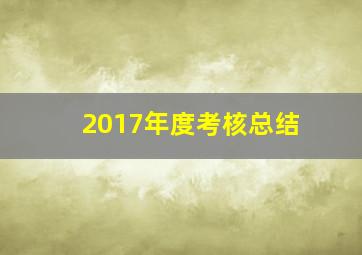 2017年度考核总结