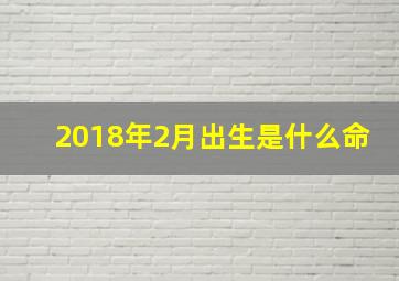 2018年2月出生是什么命