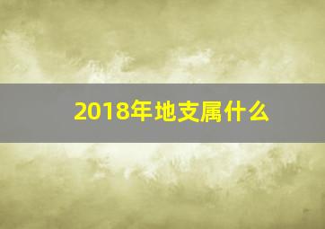 2018年地支属什么