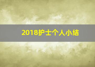 2018护士个人小结