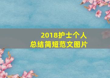 2018护士个人总结简短范文图片