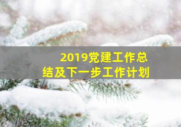 2019党建工作总结及下一步工作计划