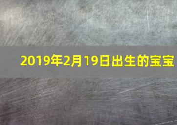 2019年2月19日出生的宝宝