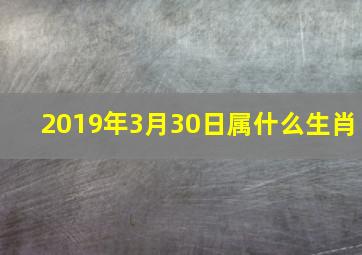 2019年3月30日属什么生肖