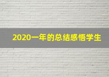 2020一年的总结感悟学生