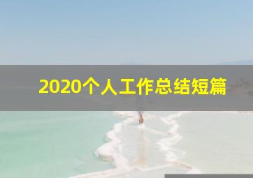 2020个人工作总结短篇