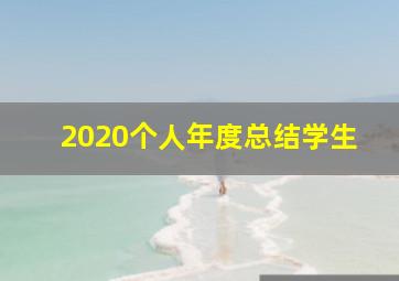 2020个人年度总结学生