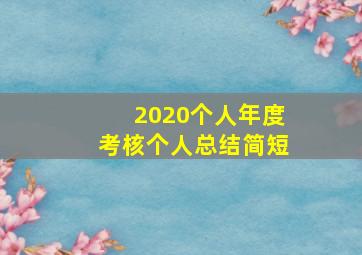 2020个人年度考核个人总结简短