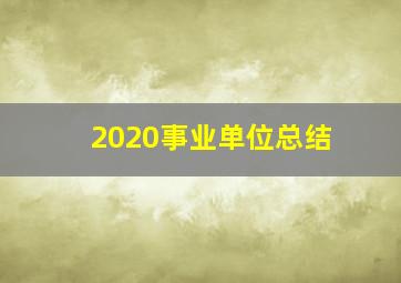 2020事业单位总结