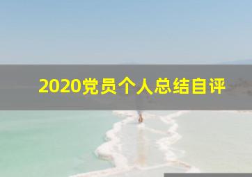 2020党员个人总结自评