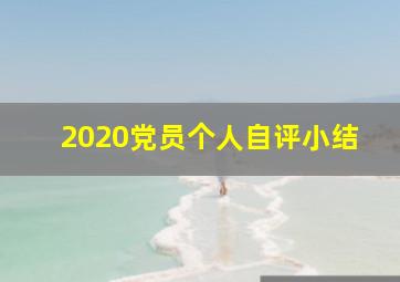 2020党员个人自评小结