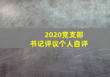 2020党支部书记评议个人自评