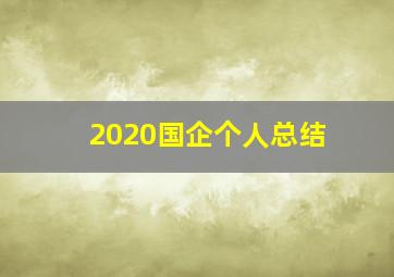 2020国企个人总结