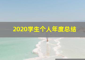 2020学生个人年度总结