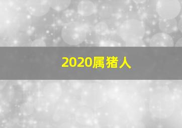 2020属猪人