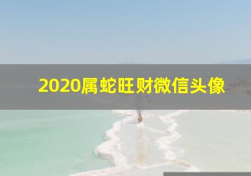 2020属蛇旺财微信头像