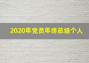 2020年党员年终总结个人