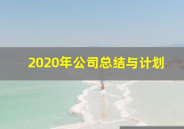 2020年公司总结与计划